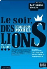 Le soir des lions