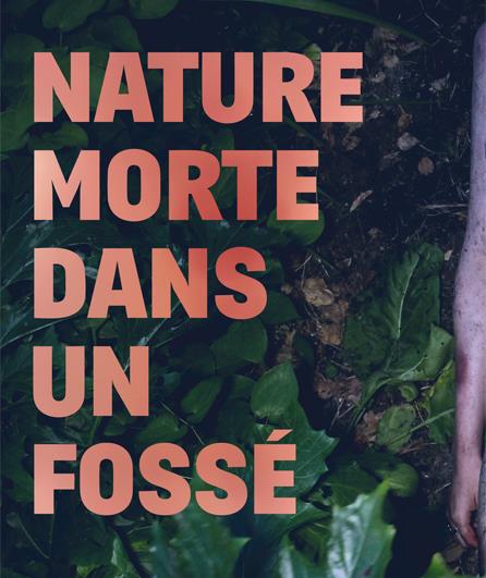 Nature morte dans un fossé