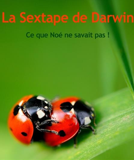 La Sextape de Darwin