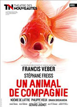 Un animal de compagnie