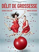 Délit de grossesse