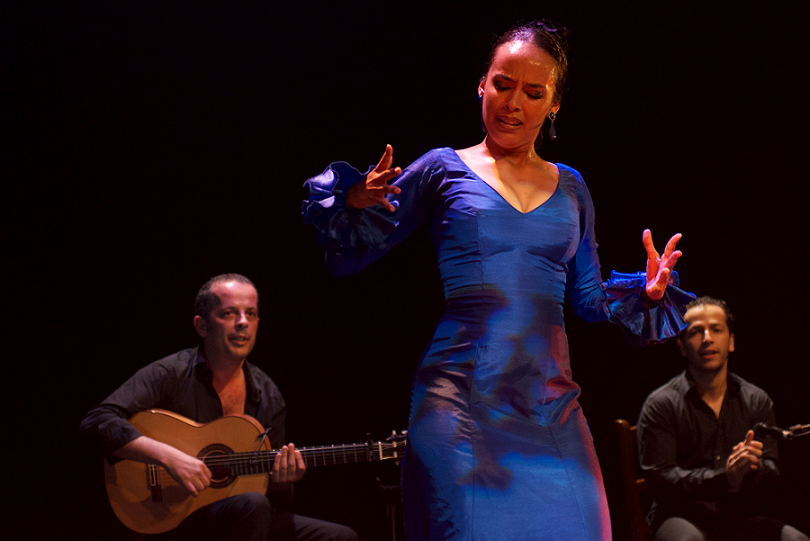 Flamenco Por un poeta